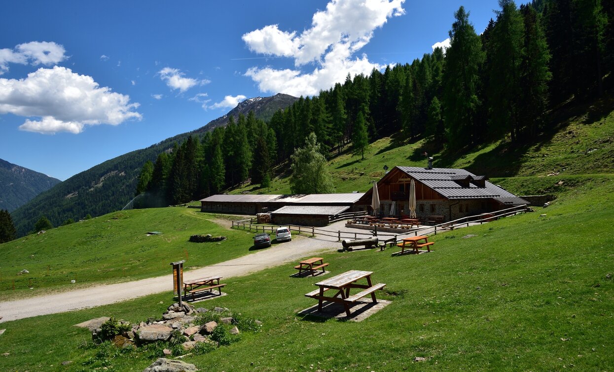 Malga Fratte Bassa | © T. Mochen, APT Valli di Sole, Peio e Rabbi