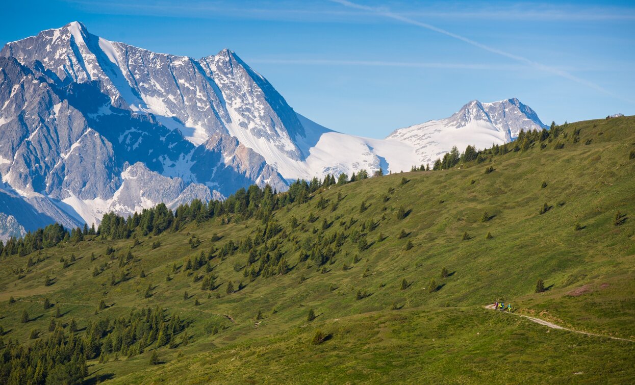 La vista sulla Presanella dal Trail | © Foto Matteo Cappè , APT Valli di Sole, Peio e Rabbi