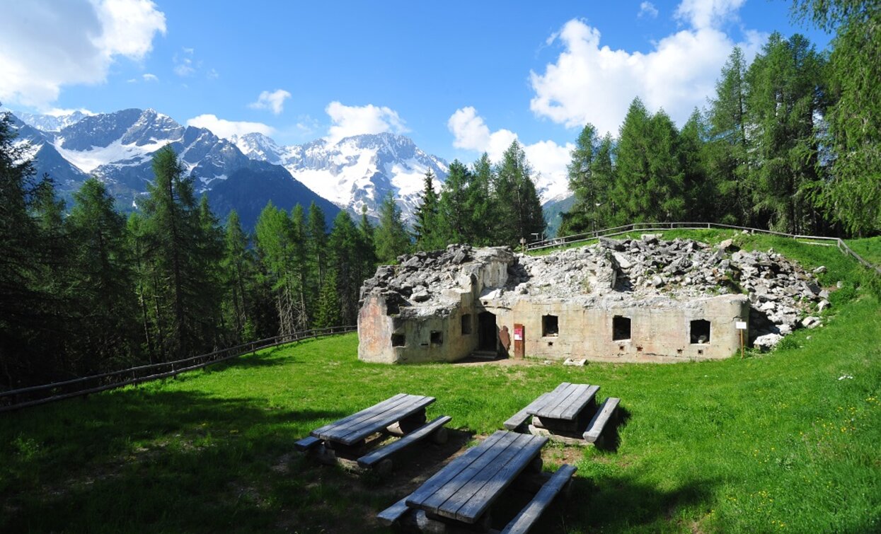 © Azienda Turismo Val di Sole, APT Valli di Sole, Peio e Rabbi