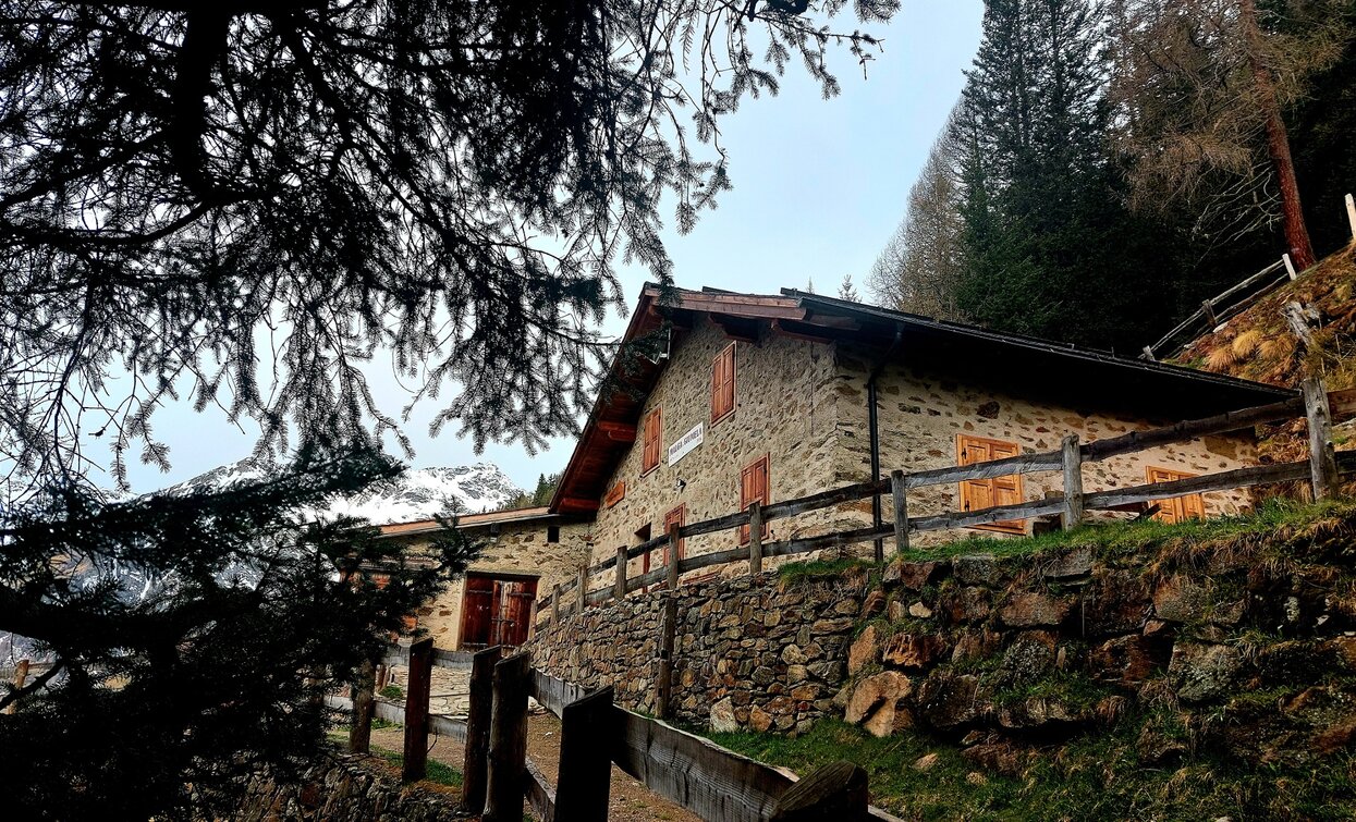 © Azienda Turismo Val di Sole, APT Valli di Sole, Peio e Rabbi