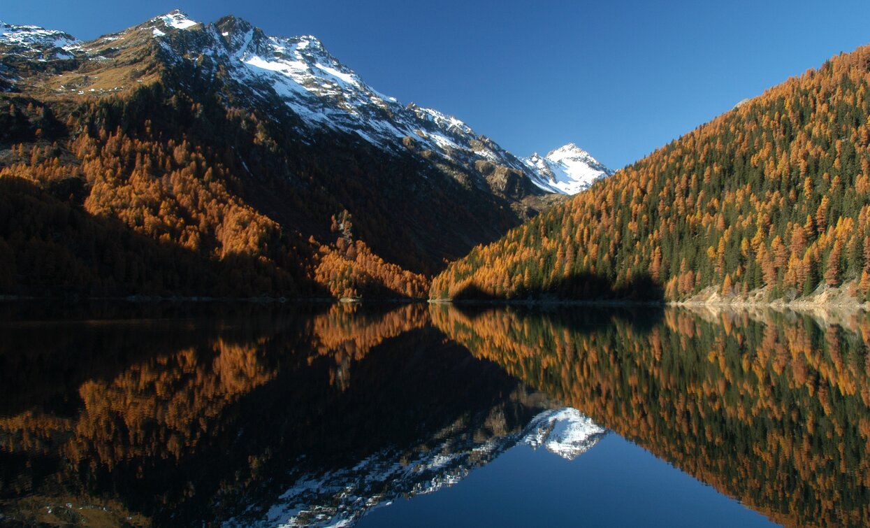 Lago Pian Palù | © T. Mochen, APT Valli di Sole, Peio e Rabbi