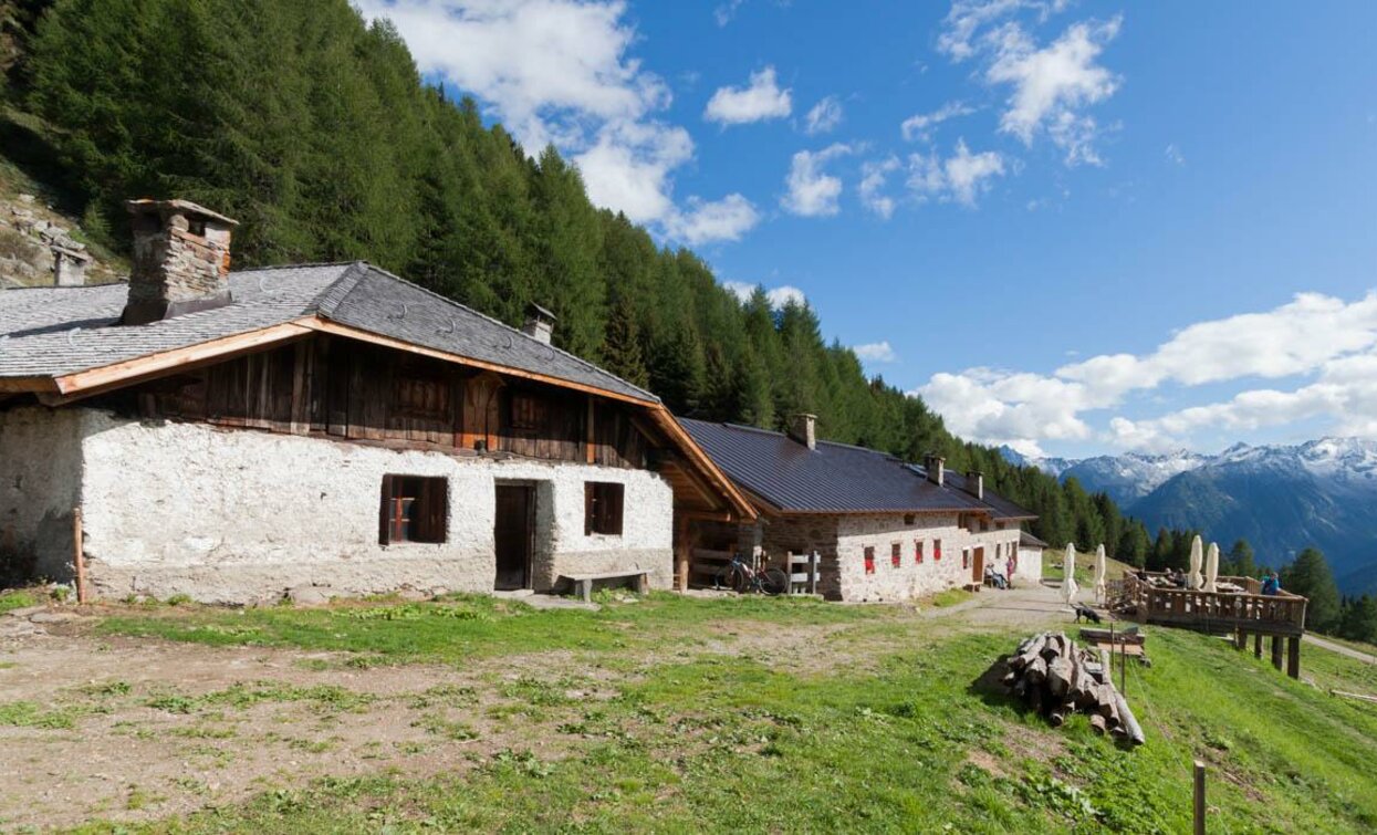 Esterno NestAlp Malga Campo | © Sconosciuto