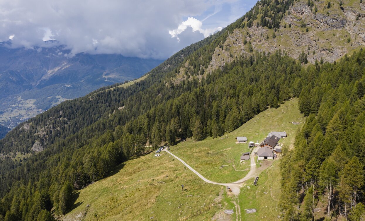 Malga Campo | © Giacomo Podetti, APT Valli di Sole, Peio e Rabbi