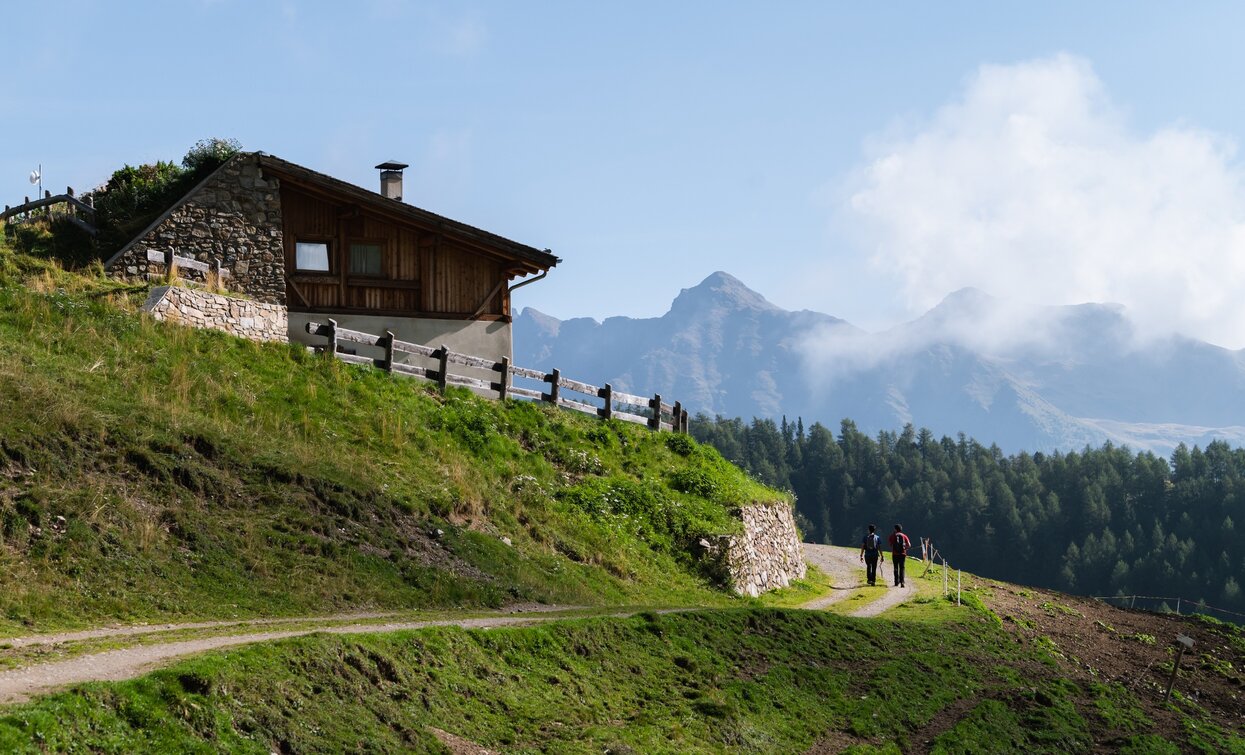 Malga Val Comasine | © Giacomo Podetti, APT Valli di Sole, Peio e Rabbi