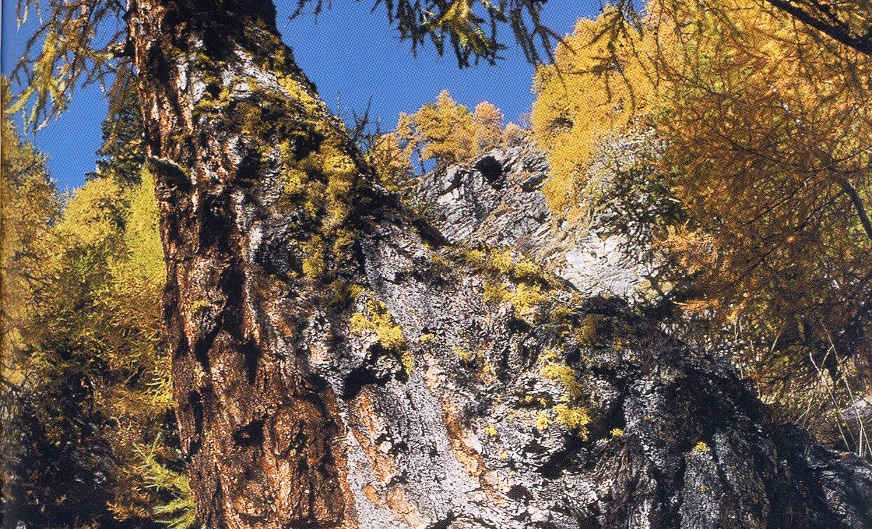 © Azienda Turismo Val di Sole, APT - Valli di Sole, Peio e Rabbi