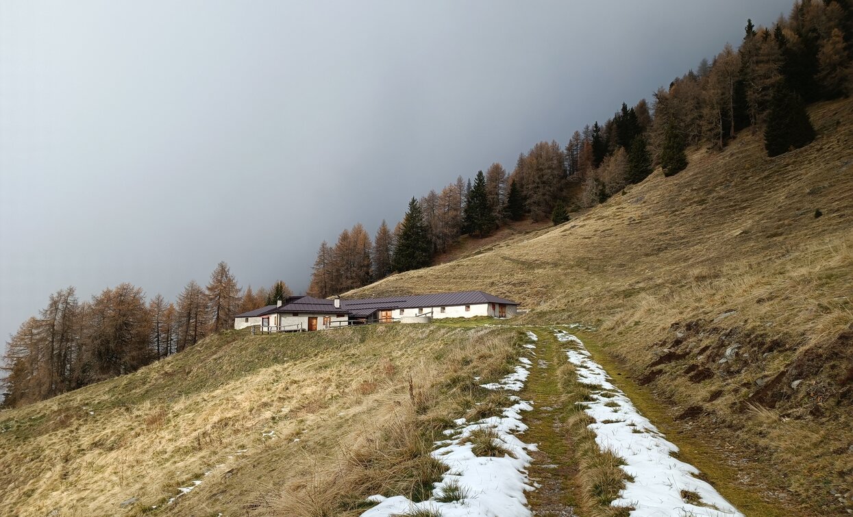 © Azienda Turismo Val di Sole, APT Valli di Sole, Peio e Rabbi