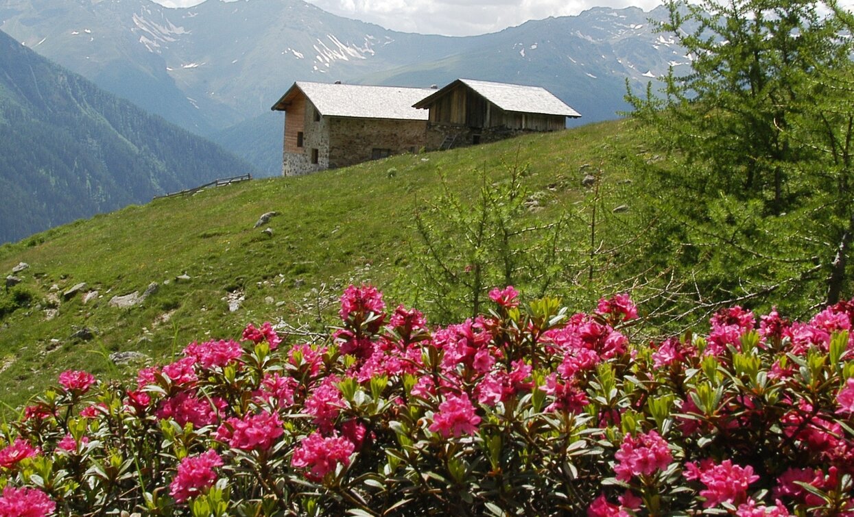 © Azienda Turismo Val di Sole, APT - Valli di Sole, Peio e Rabbi