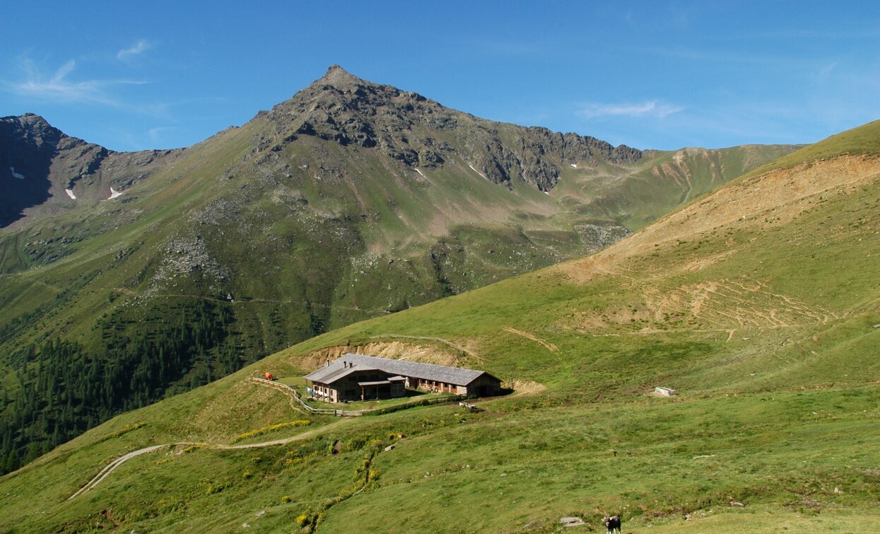 © Azienda Turismo Val di Sole, APT - Valli di Sole, Peio e Rabbi