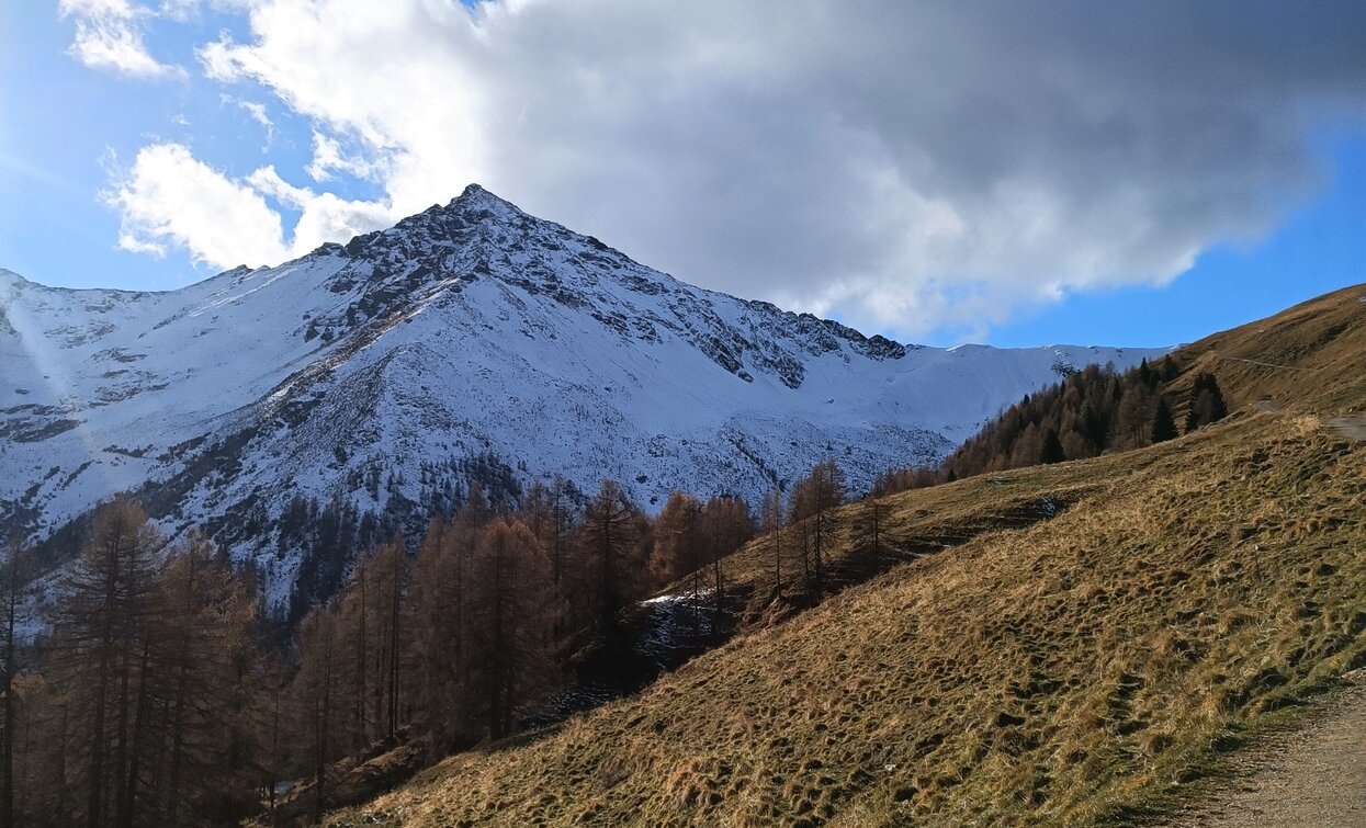 © Azienda Turismo Val di Sole, APT - Valli di Sole, Peio e Rabbi