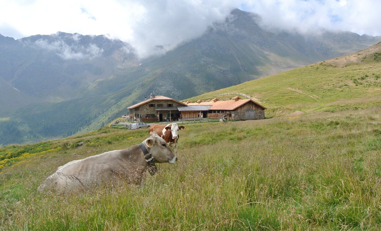 © Azienda Turismo Val di Sole, APT - Valli di Sole, Peio e Rabbi