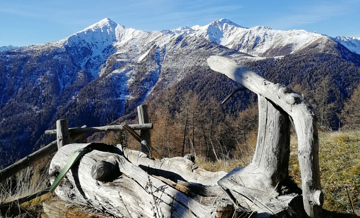 © Azienda Turismo Val di Sole, APT - Valli di Sole, Peio e Rabbi