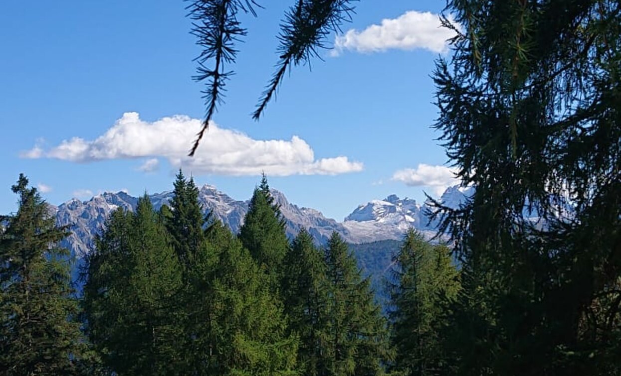 © Azienda Turismo Val di Sole, APT - Valli di Sole, Peio e Rabbi