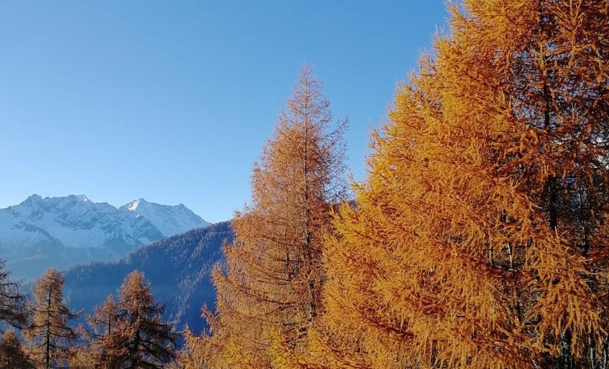 © Azienda Turismo Val di Sole, APT - Valli di Sole, Peio e Rabbi