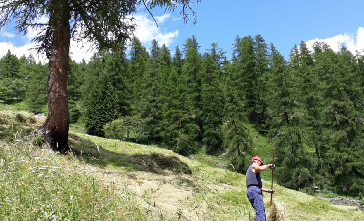 © Azienda Turismo Val di Sole, APT - Valli di Sole, Peio e Rabbi