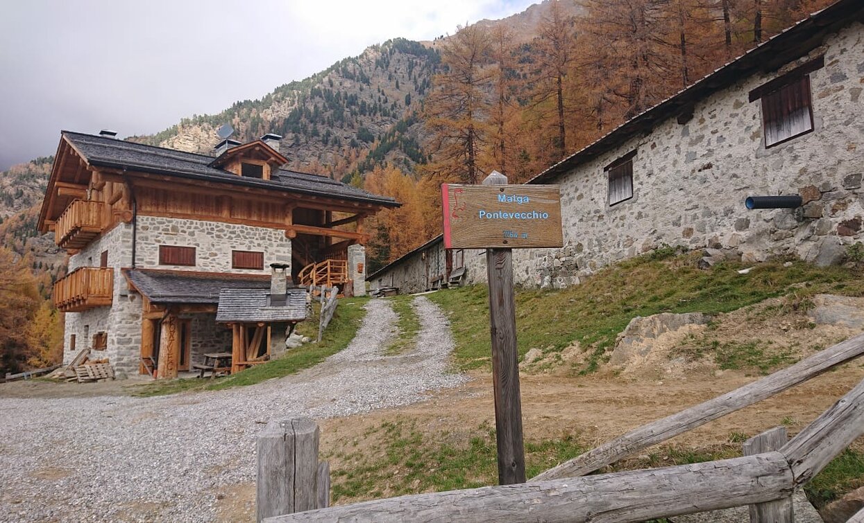 © Azienda Turismo Val di Sole, APT - Valli di Sole, Peio e Rabbi