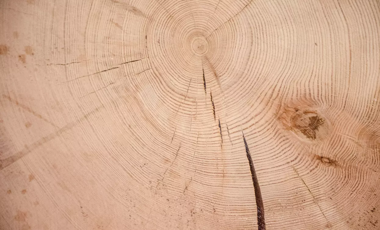 Museo Etnografico del Legno - Ecomuseo Piccolo Mondo Alpino Val di Peio | © Archivio Ecomuseo Piccolo Mondo Alpino Val di Peio