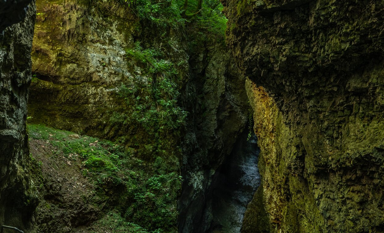 WOW experience Val di Non Parco con delitto | © Archivio APT Val di Non