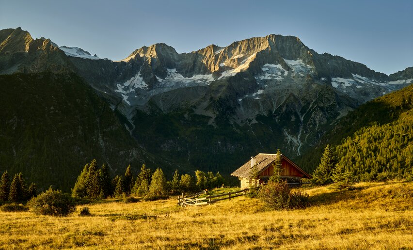 Vista sulla Presanella | © Ph. Carlo Baroni - Archivio APT Val di Sole