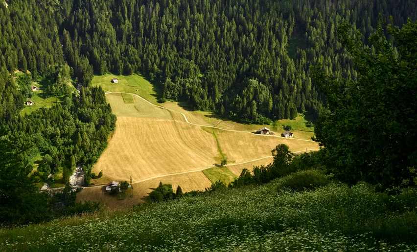 Località Poia di Vermiglio | © Ph. Carlo Baroni - Archivio APT Val di Sole