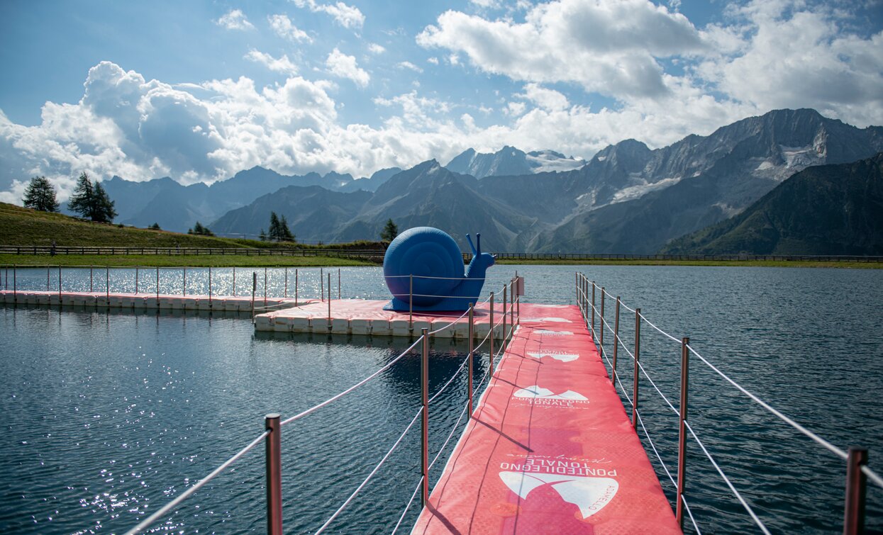 Water Music Festival  | © Archivio APT Val di Sole - ph Mauro Mariotti