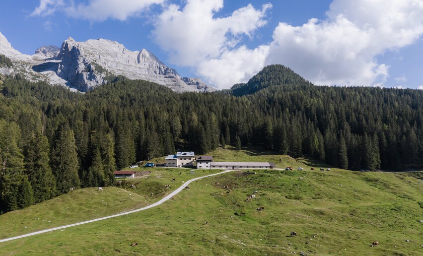 Malga Mondifra | © Archivio ApT Val di Sole - Ph Giacomo Podetti