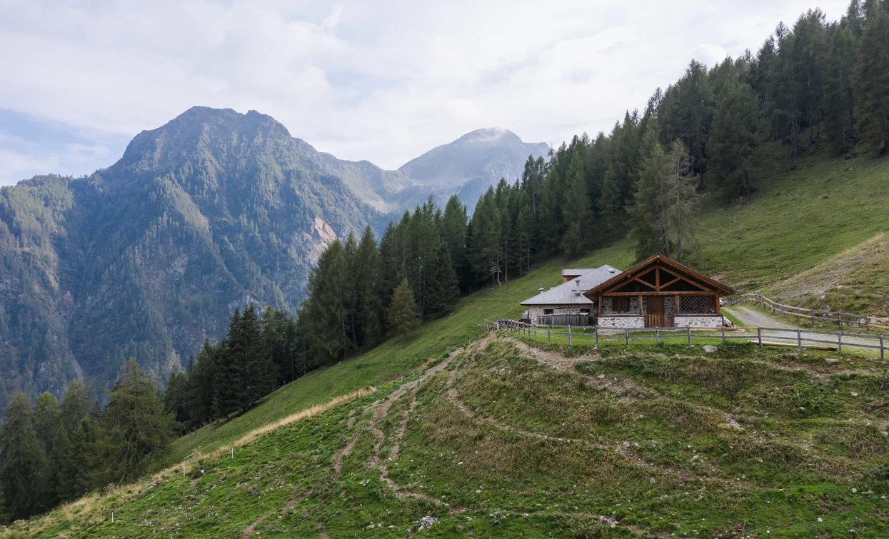 Malga Polinar | © Archivio ApT Val di Sole