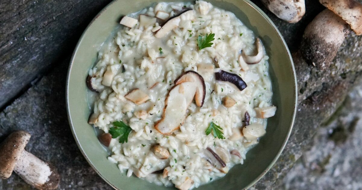 Recipe for porcini mushroom risotto
