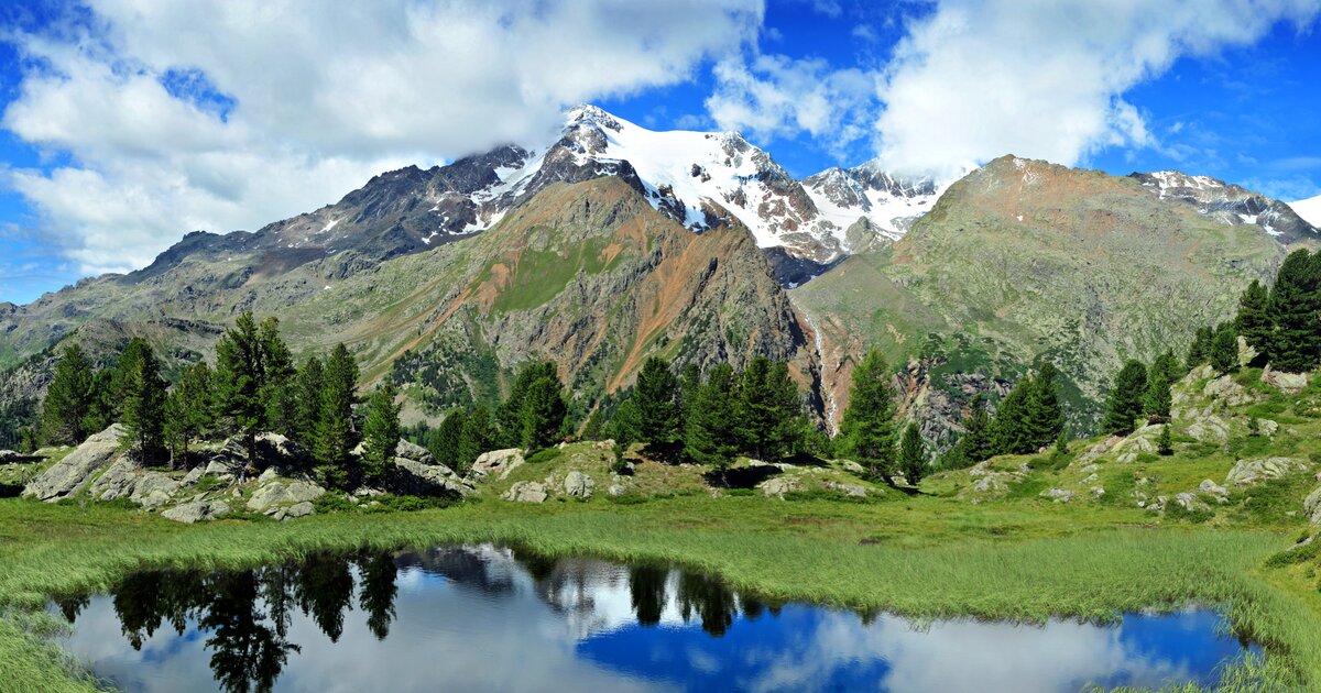 Parchi Naturali Ed Aree Protette In Val Di Sole Oasi Verde In Trentino