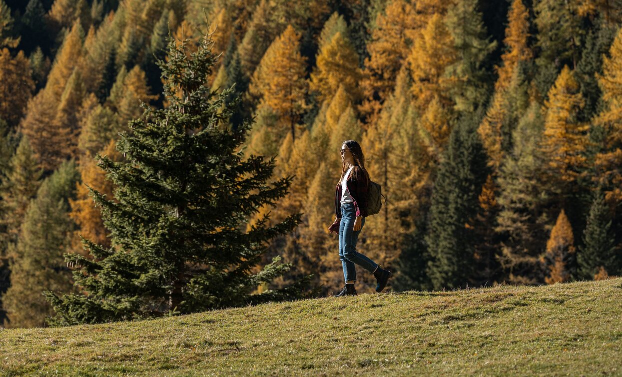 Lago di Covel in autunno | © Archivio APT Val di Sole Ph Elisa Fedrizzi