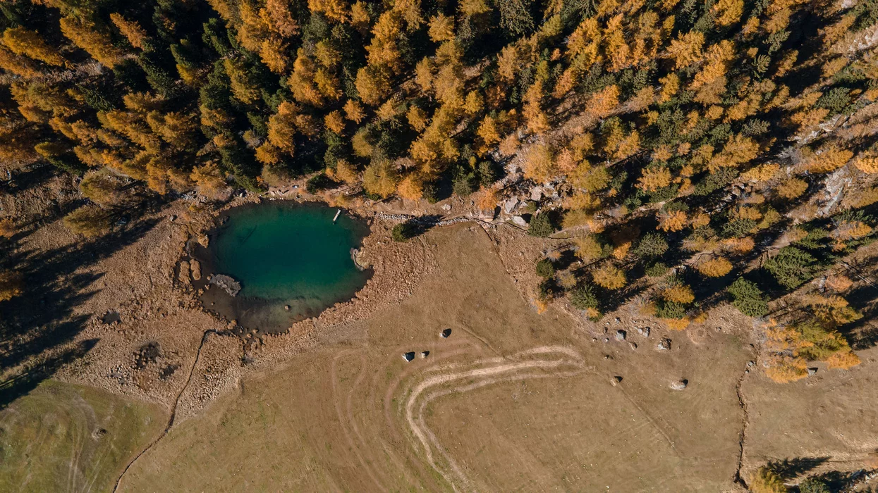 Lago di Covel in autunno | © Archivio APT Val di Sole - Ph Elisa Fedrizzi