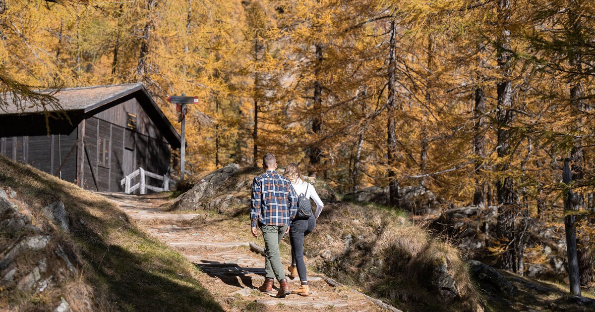 Alla scoperta dei boschi della Val di Rabbi