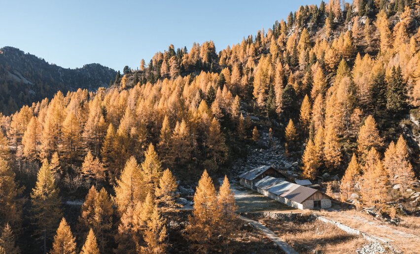 Laghetti di Mezzana in autunno | © Archivio APT Val di Sole Ph Giacomo Podetti