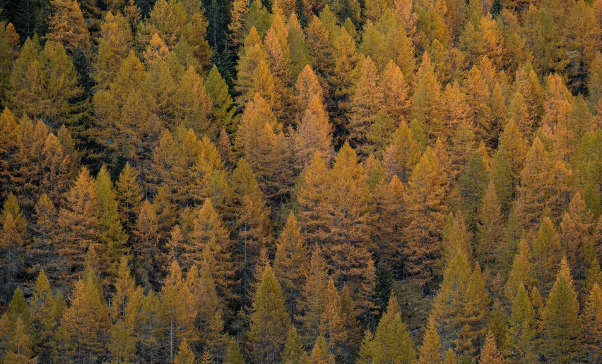 Cascate di Saènt in autunno | © Archivio APT Val di Sole - Ph Elisa Fedrizzi