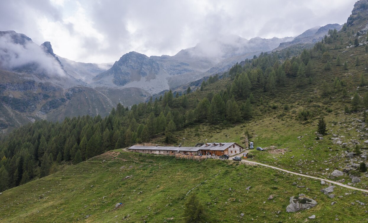 Malga Maleda  | © Archivio APT Val di Sole - ph Giacomo Podetti