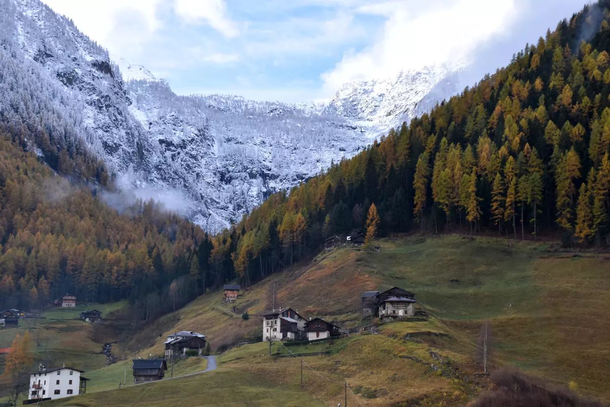 Per un Sonno secondo Natura, Trentino Erbe vi propone i favolosi