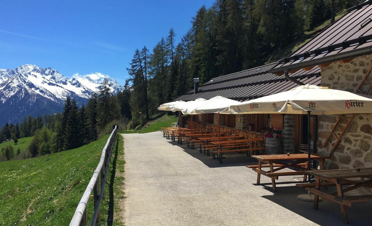 Panorama  | © Archivio APT Val di Sole - ph Malga Stabli