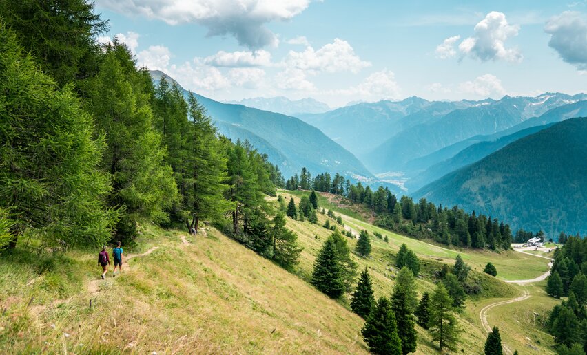 Trekking in Val di Pejo | © Archivio APT Val di Sole - Ph Camilla Pizzini