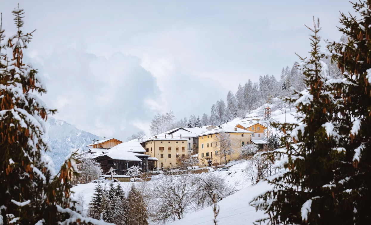 Ciaspole - Tra le malghe di Bolentina  | © Archivio APT Val di Sole - Ph Nicola Cagol