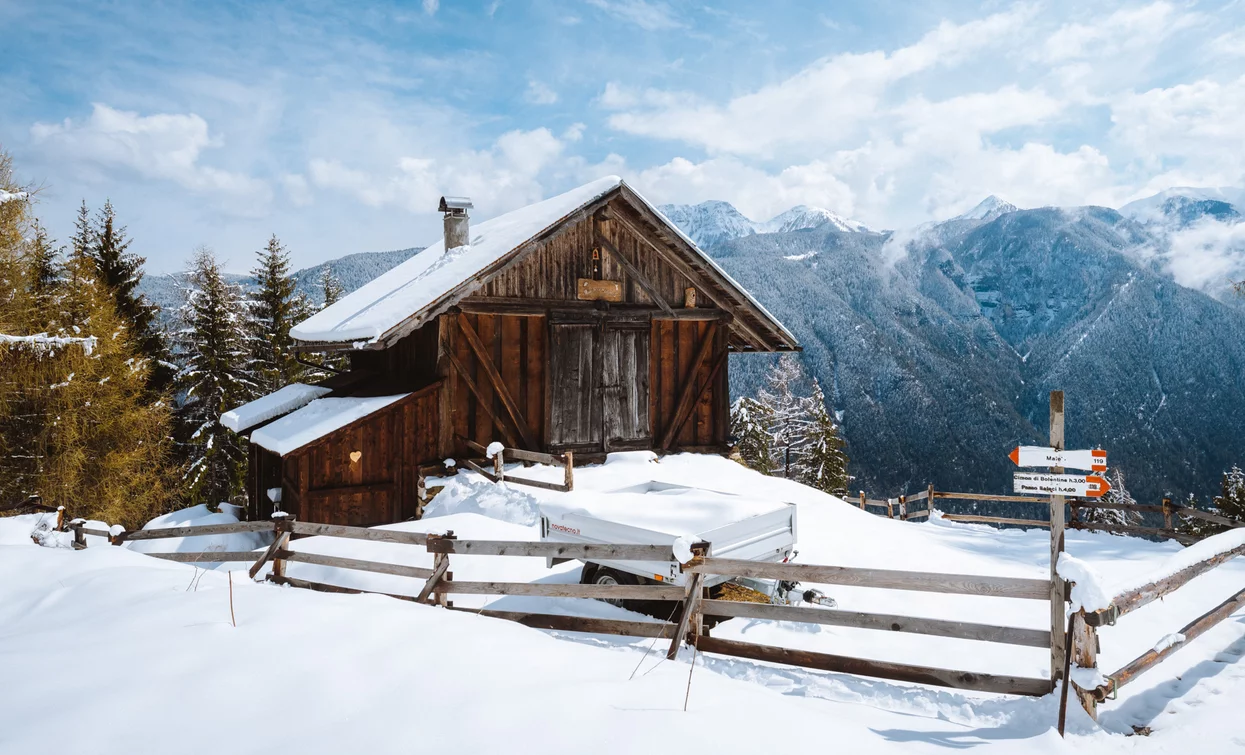 Ciaspole - Tra le malghe di Bolentina  | © Archivio APT Val di Sole - Ph Nicola Cagol