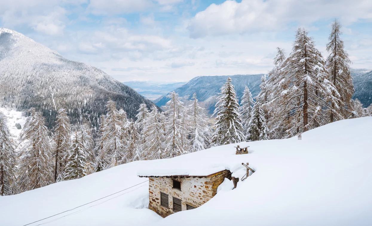 Ciaspole - Tra le malghe di Bolentina  | © Archivio APT Val di Sole - Ph Nicola Cagol