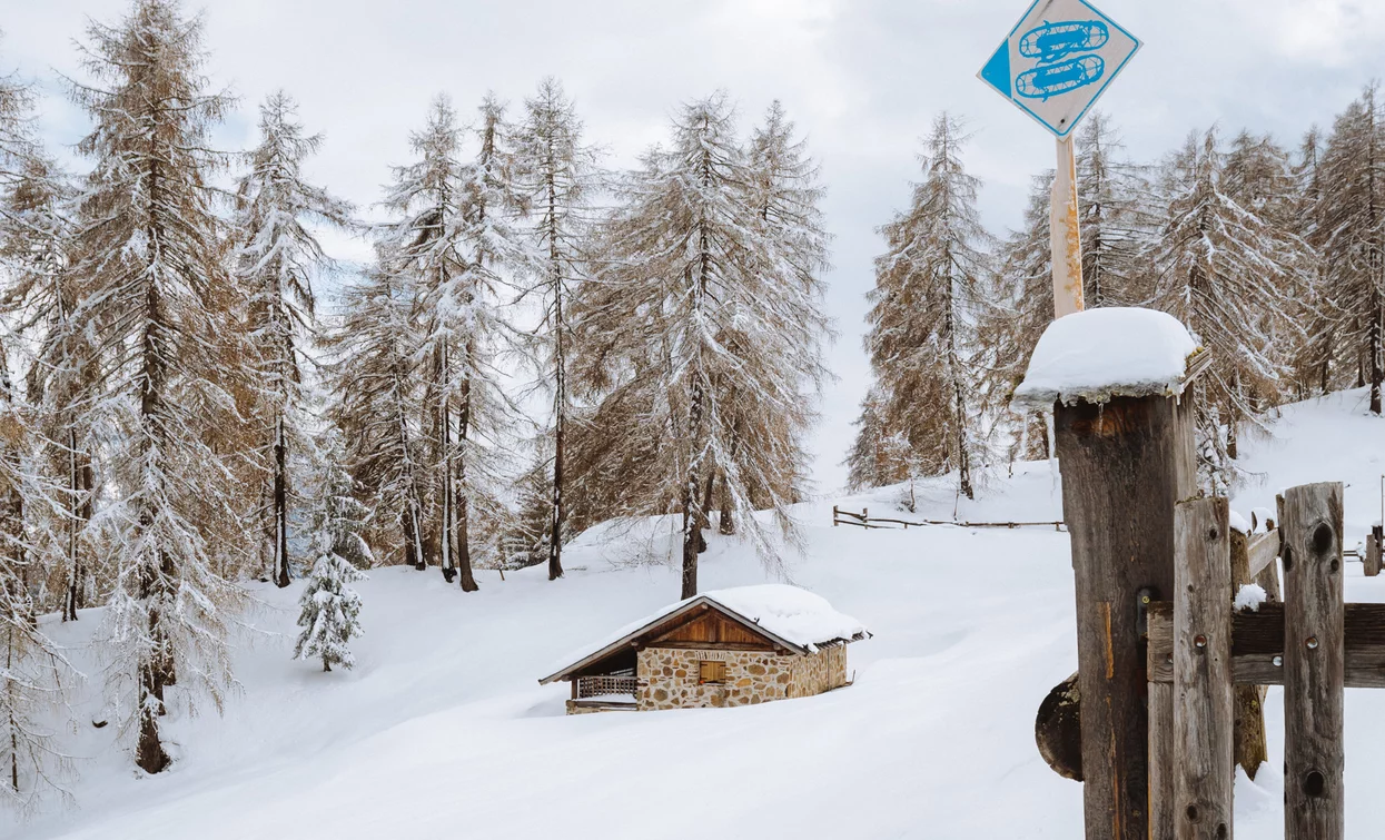 Ciaspole - Tra le malghe di Bolentina  | © Archivio APT Val di Sole - Ph Nicola Cagol