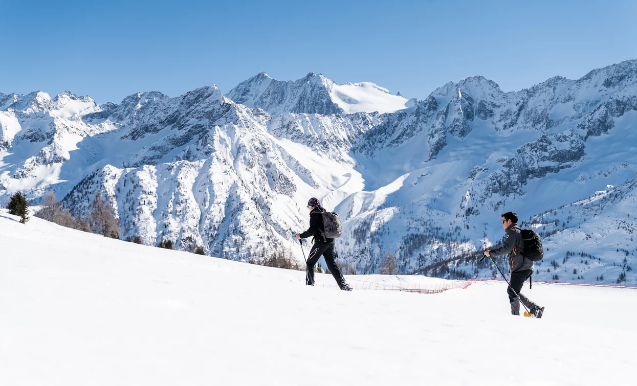 Verso Malga Valbiolo con le racchette da neve | © Archivio APT Val di Sole - Ph Giacomo Podetti