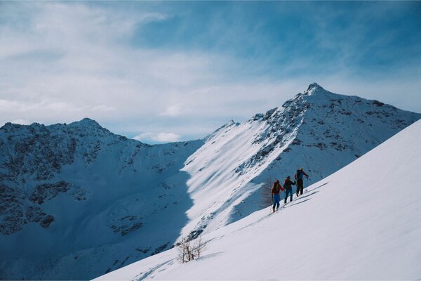 Sci alpinismo  | © Archivio APT Val di Sole - Ph Alice Russolo 