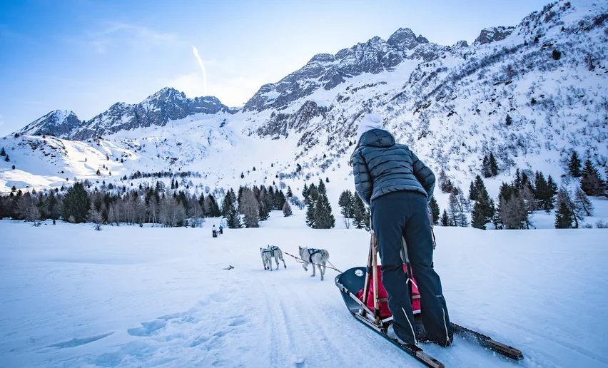 Sleddog a Passo Tonale | © Archivio APT Val di Sole - Ph Tommaso Prugnola