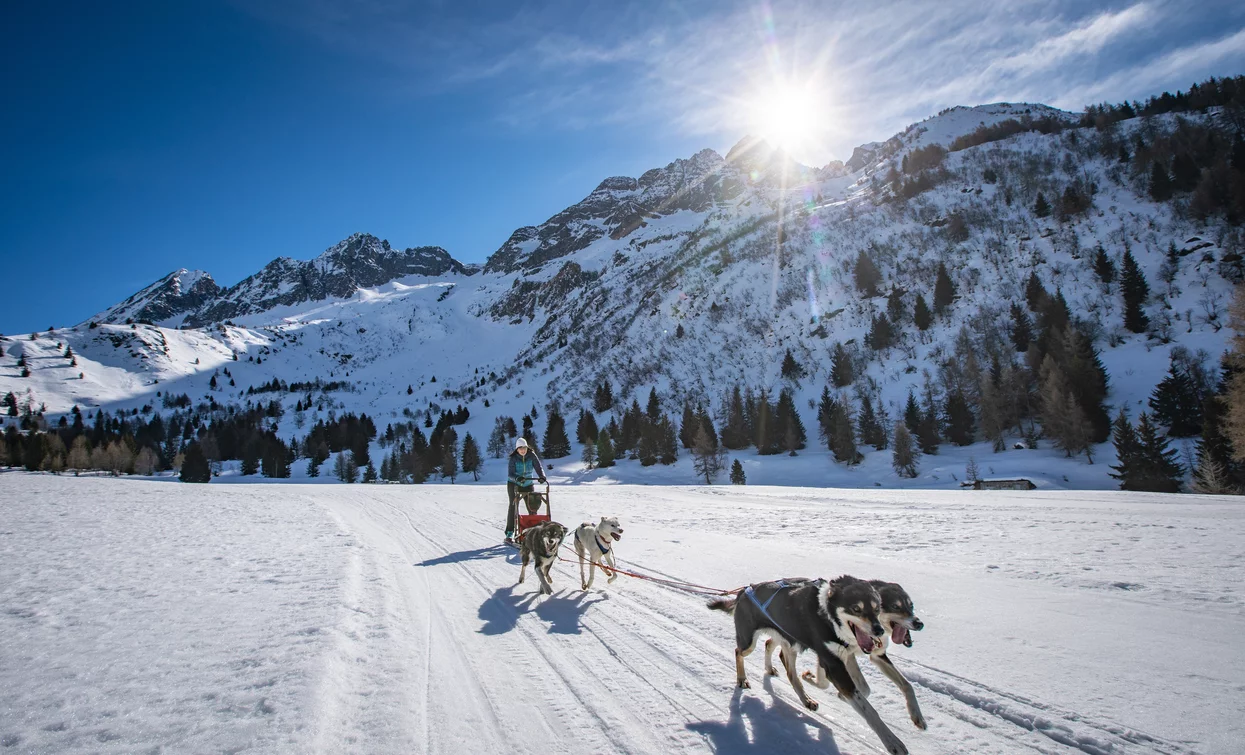 Sleddog in Val di Sole | © Archivio APT Val di Sole - Ph Tommaso Prugnola